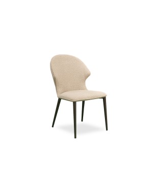 Abra Dining Chair in DT98-02 Fabric (Set of 2)
